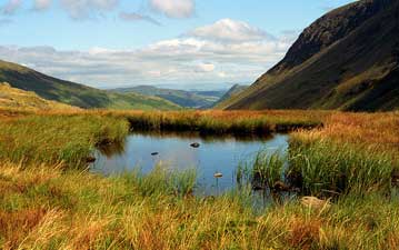 Albert Speer, babies and Wainwright!